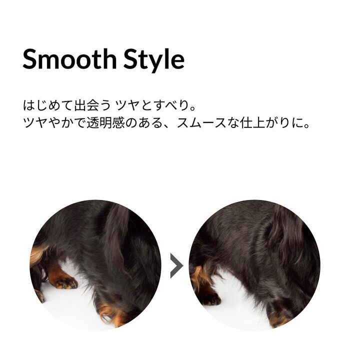 画像1031