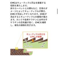 画像1036