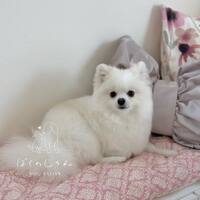 画像1180