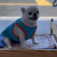 画像1203