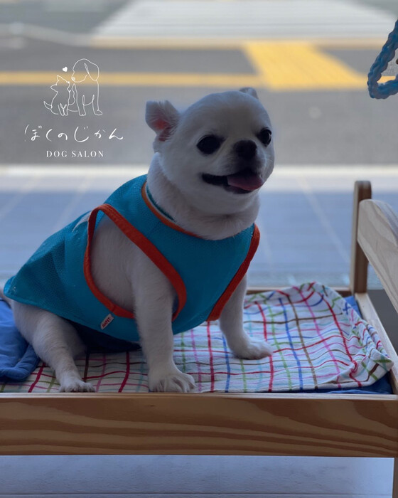 画像1203
