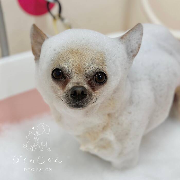 画像1280