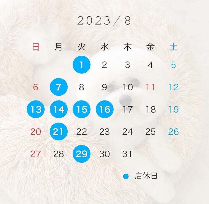 画像1297