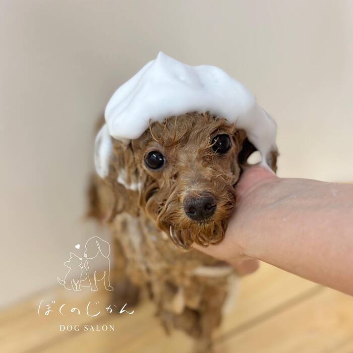 画像1409