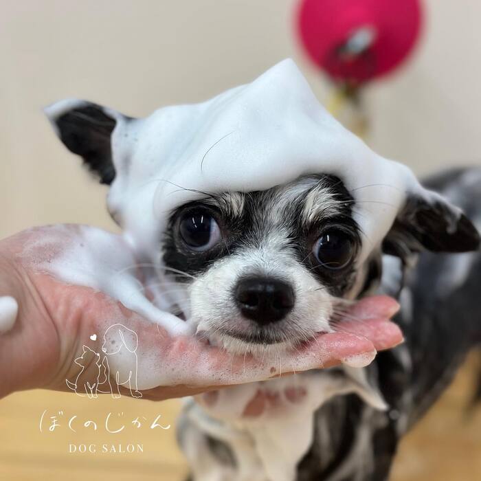 画像1420