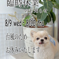 画像1441