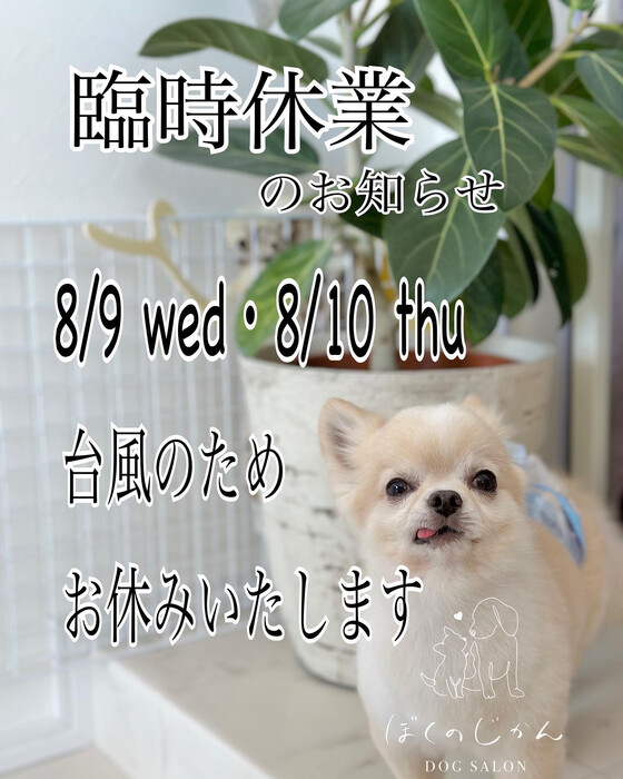 画像1441