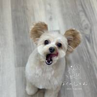 画像1444