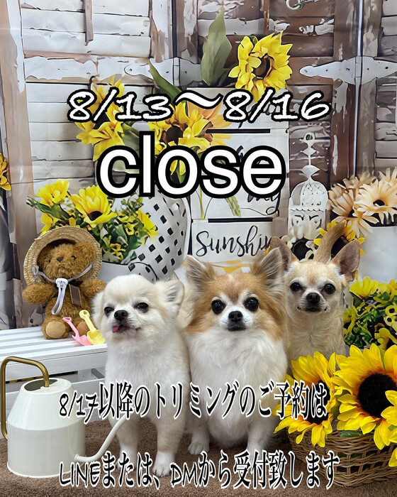 画像1495