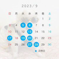 画像1513