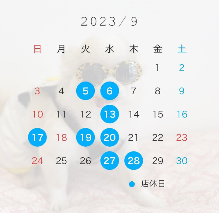 画像1513