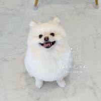 画像1577