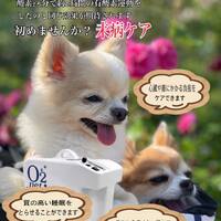画像1589