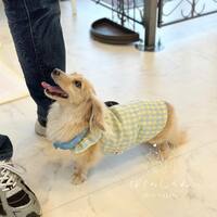 画像1679