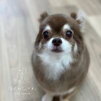 画像1762