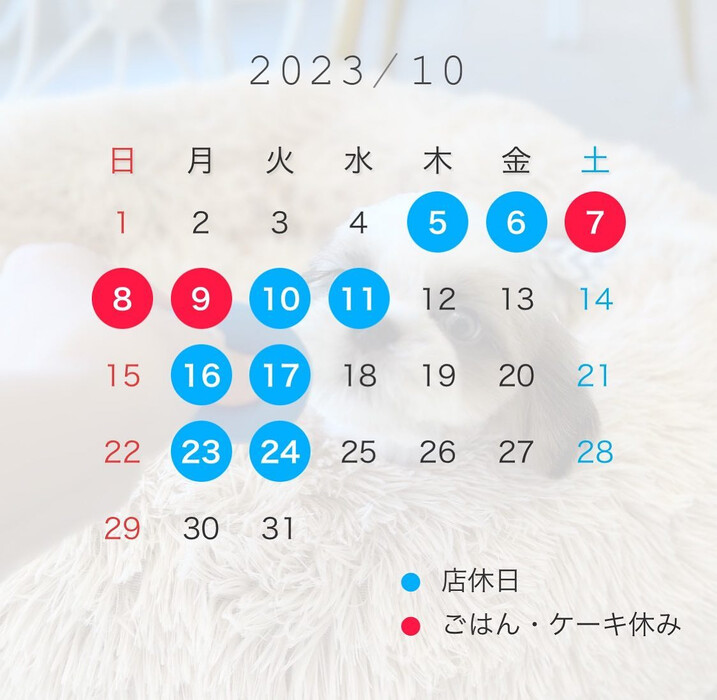 画像1777