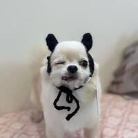 画像1812
