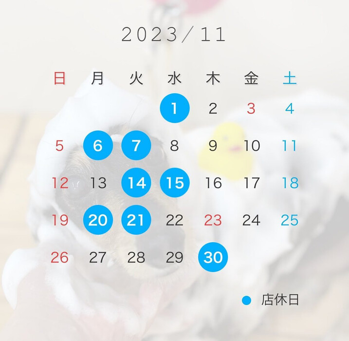 画像2009