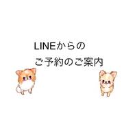 画像2043
