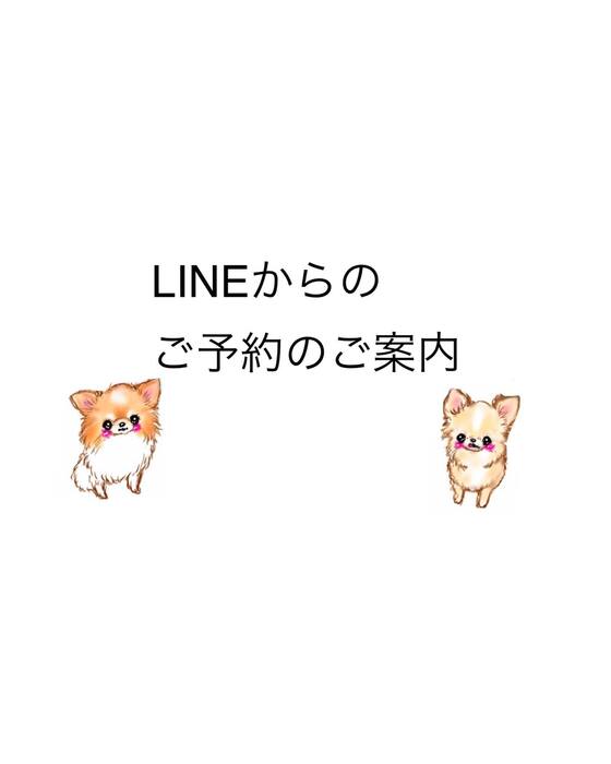 画像2043