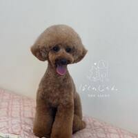 画像2119