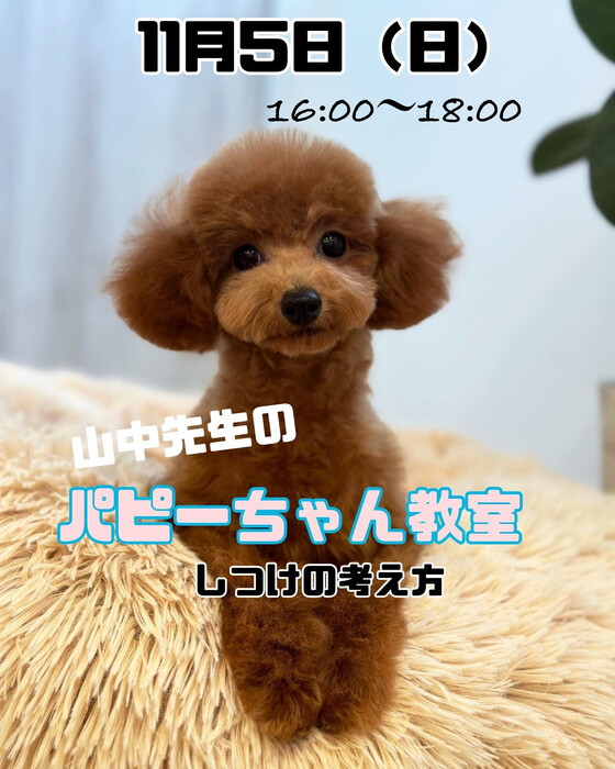 画像2130