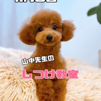 画像2158