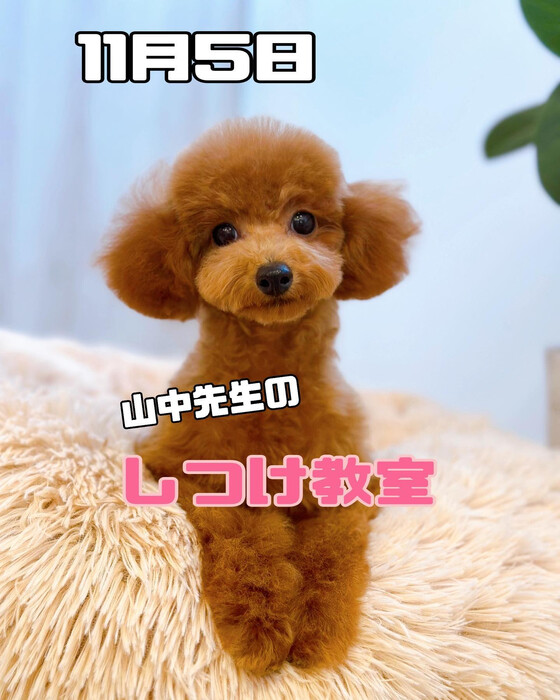 画像2158