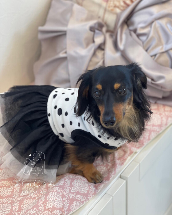 画像2226