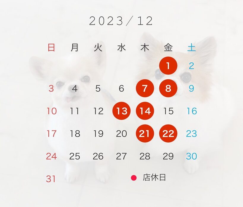 画像2376