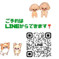 画像2377