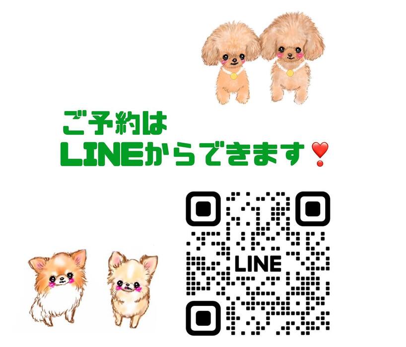 画像2377