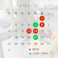 画像2429