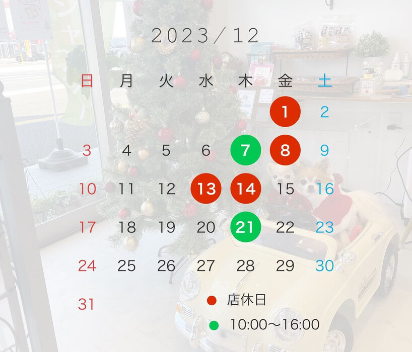 画像2429