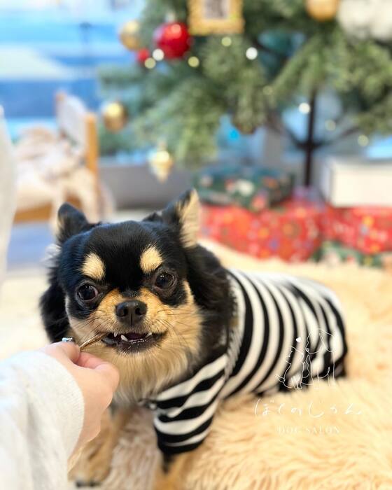 画像2459