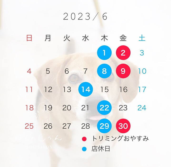画像393