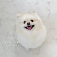 画像466
