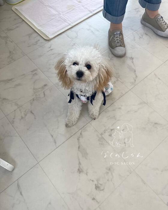 画像486