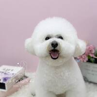 画像532