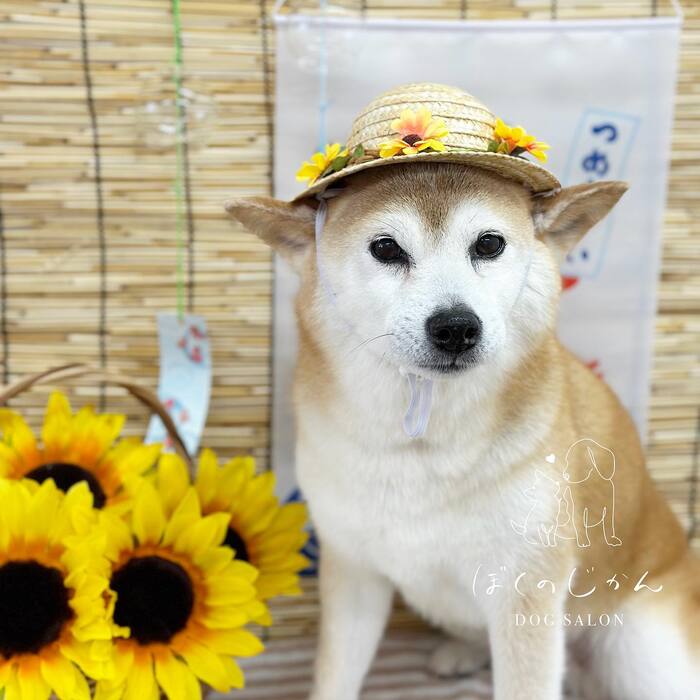画像575