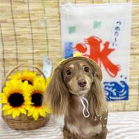 画像579