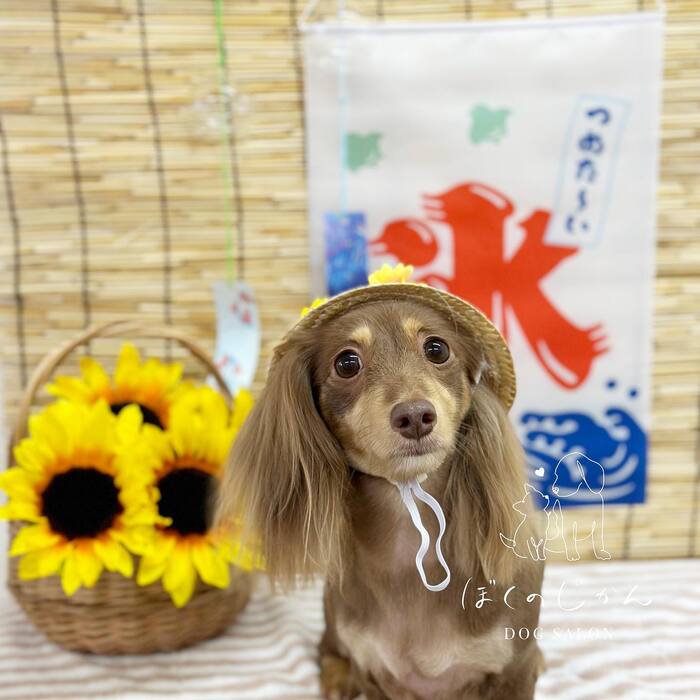 画像579