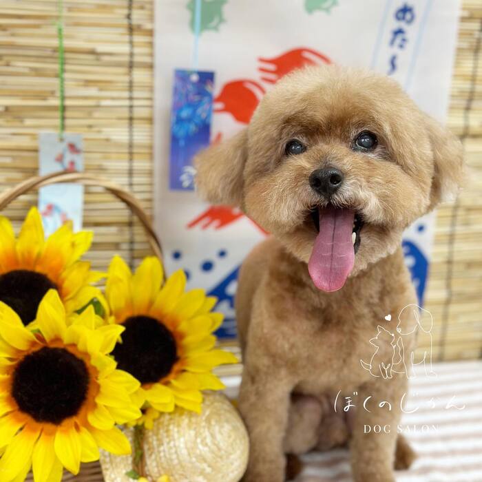 画像657