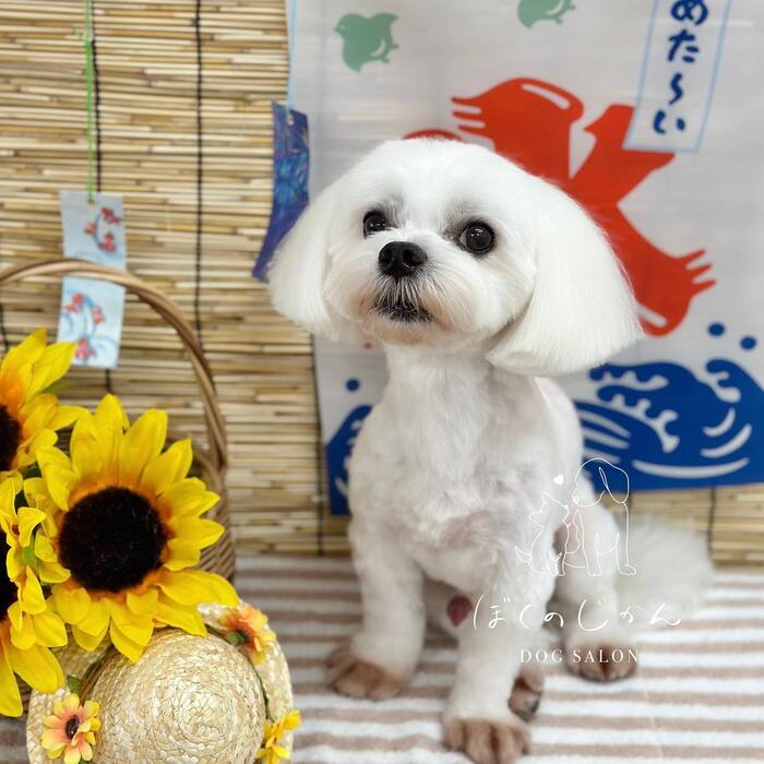画像679