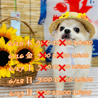 画像712