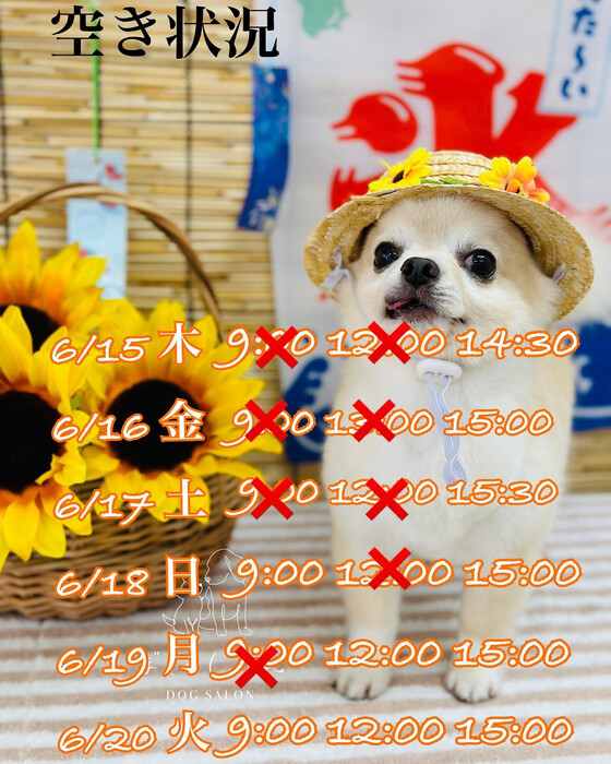 画像712