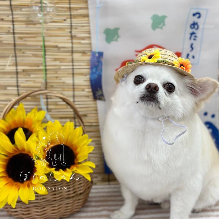 画像717