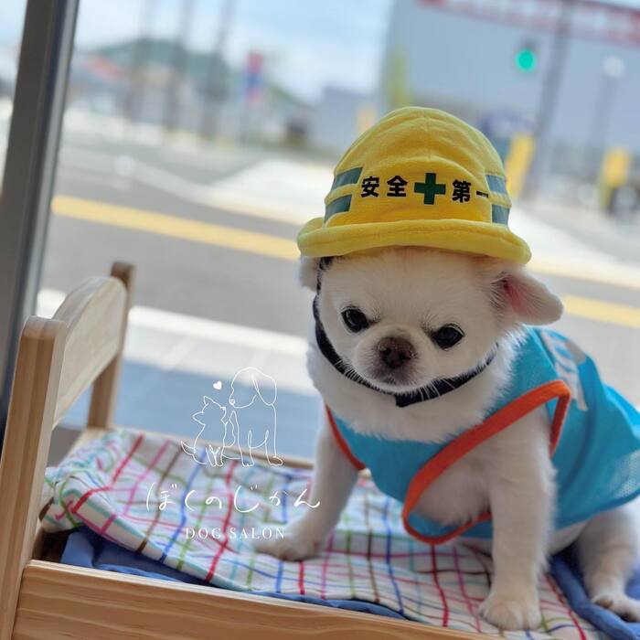 画像818