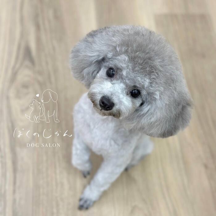 画像830