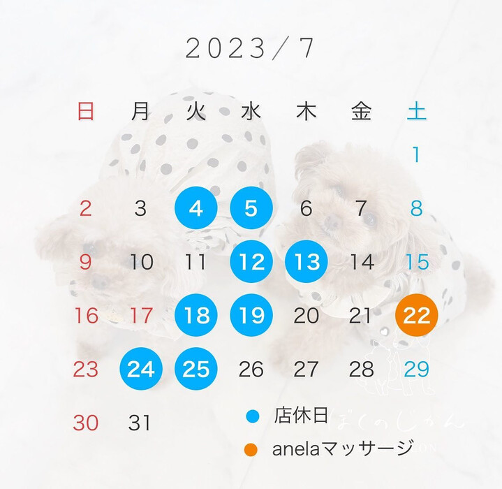 画像832